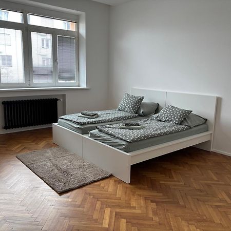 Soukromy Pokoj V Tripokojovem Byte - Private Room In Three Room Flat Brno Eksteriør billede